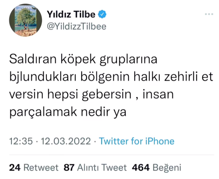 yildiz tilbeden olay kopek saldirisi yorumu